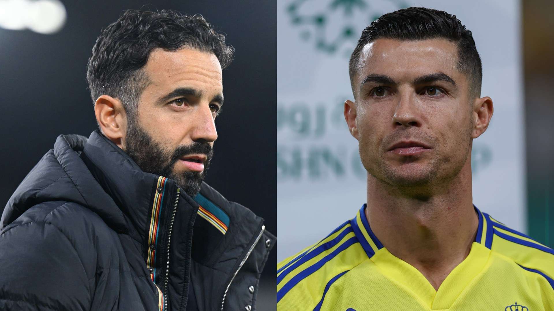 赋是远远不 赋是远远不